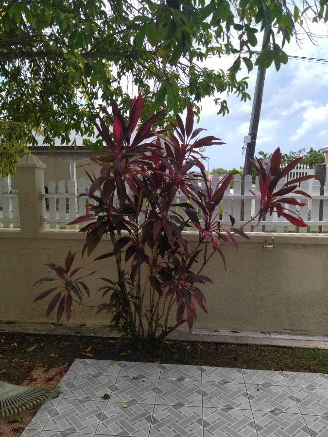 Studio Sympa Port-Louis Exterior photo