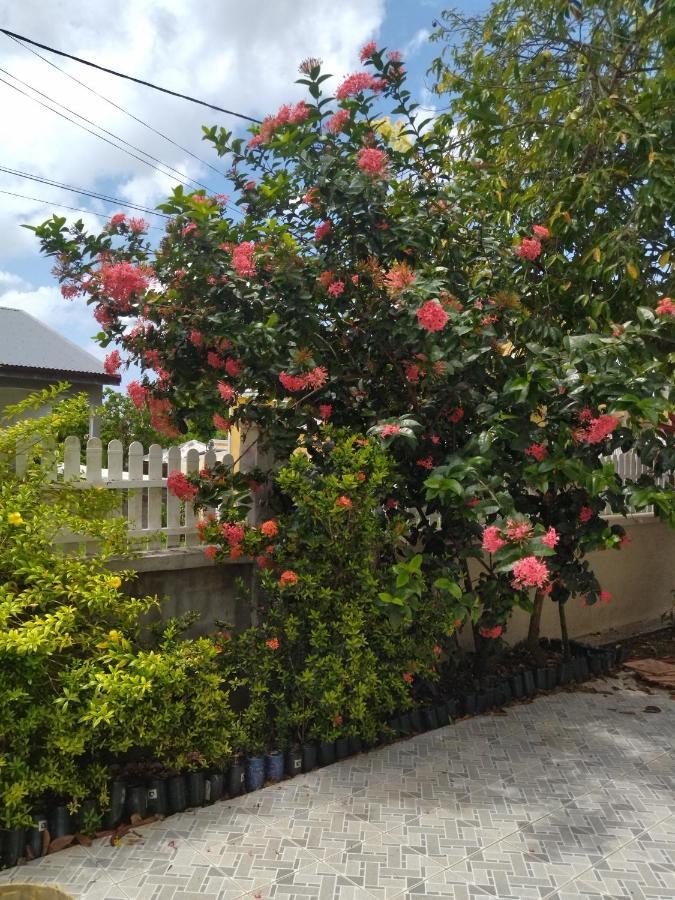 Studio Sympa Port-Louis Exterior photo